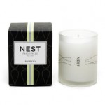 NEST NEST