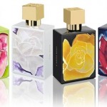 A Dozen Roses at Bergdorf Goodman 212 872 2581